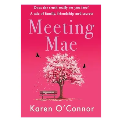 Meeting Mae - O'Connor, Karen