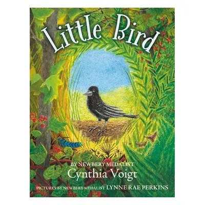 Little Bird - Voigt, Cynthia