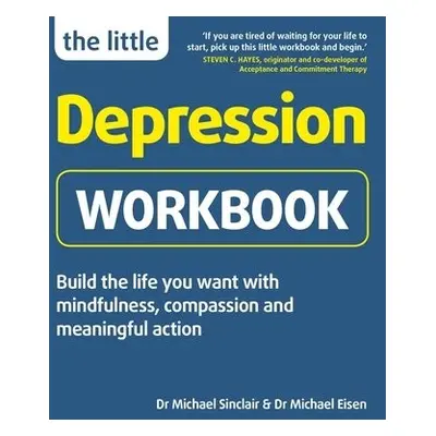 Little Depression Workbook - Sinclair, Michael a Eisen, Dr Michael