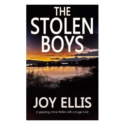 Stolen Boys - Ellis, Joy