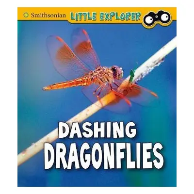 Dashing Dragonflies - Peterson, Megan Cooley