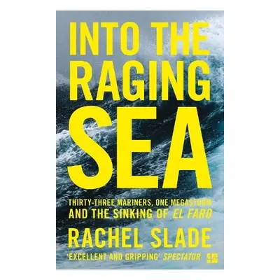 Into the Raging Sea - Slade, Rachel