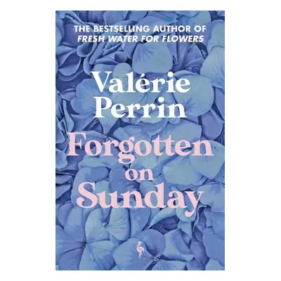 Forgotten on Sunday - Perrin, Valerie