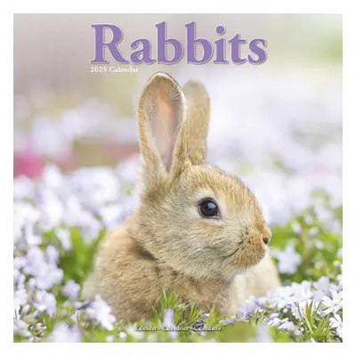 Rabbits Calendar 2025 Square Animal Wall Calendar - 16 Month