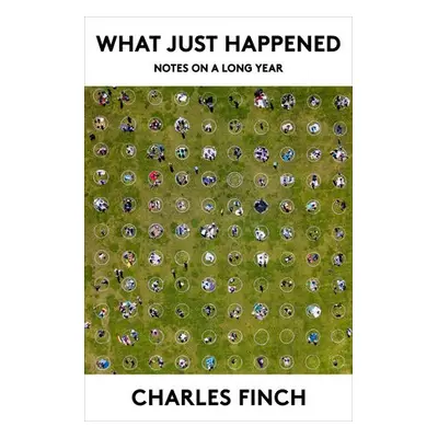 What Just Happened - Finch, Charles