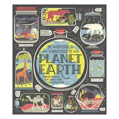 Wondrous Workings of Planet Earth - Ignotofsky, Rachel