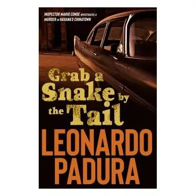 Grab a Snake by the Tail - Padura, Leonardo