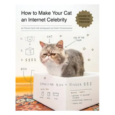 How to Make Your Cat an Internet Celebrity - Carlin, Patricia