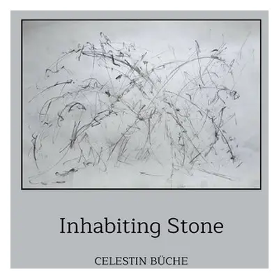 Inhabiting Stone - Buche, Celestin