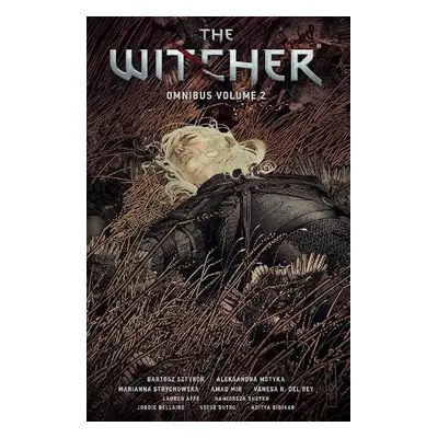 Witcher Omnibus Volume 2 - Sztybor, Bartosz a Motyka, Aleksandra a Strychowska, Marianna