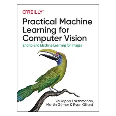 Practical Machine Learning for Computer Vision - Lakshmanan, Valliappa a Goerner, Martin a Gilla