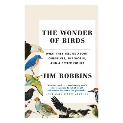 Wonder of Birds