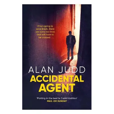 Accidental Agent - Judd, Alan