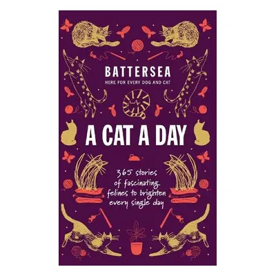 Battersea Dogs and Cats Home - A Cat a Day - Home, Battersea Dogs and Cats