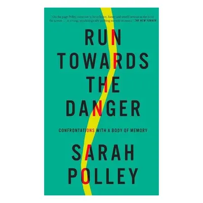 Run Towards the Danger - Polley, Sarah