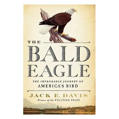 Bald Eagle - Davis, Jack E. (University of Florida)