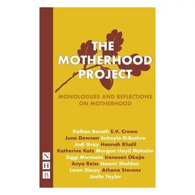 Motherhood Project