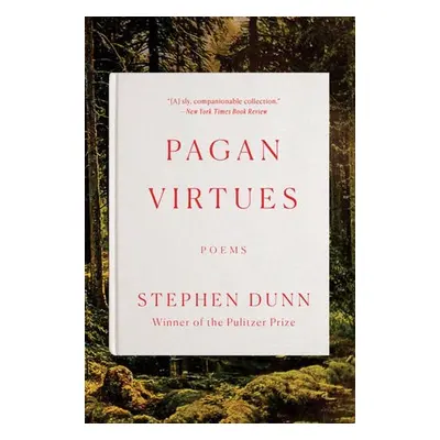 Pagan Virtues - Dunn, Stephen