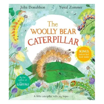 Woolly Bear Caterpillar - Donaldson, Julia