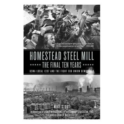 Homestead Steel Mill - The Final Ten Years - Stout, Mike