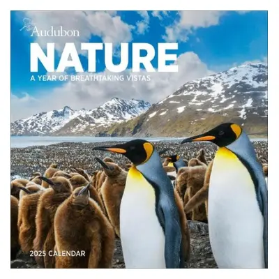 Audubon Nature Wall Calendar 2025 - Society, National Audubon a Calendars, Workman