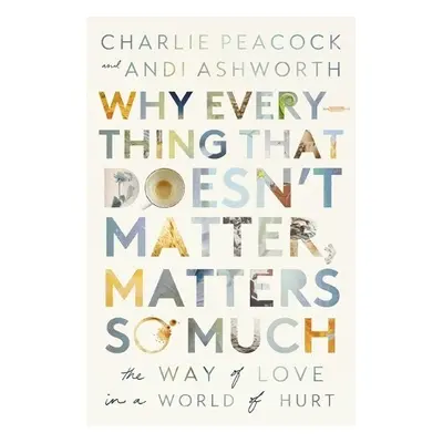 Why Everything That Doesn't Matter, Matters So Much - Ashworth, Andi a Peacock, Charlie