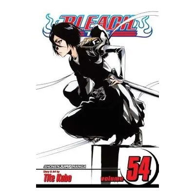 Bleach, Vol. 54 - Kubo, Tite