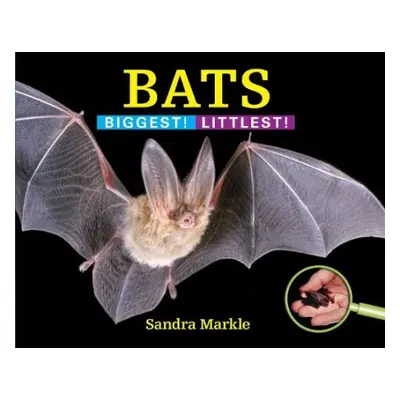 Bats - Markle, Sandra