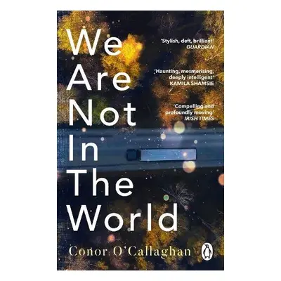 We Are Not in the World - O'Callaghan, Conor