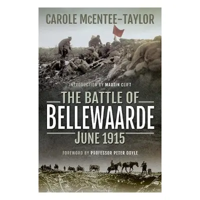 Battle of Bellewaarde, June 1915 - McEntee-Taylor, Carole