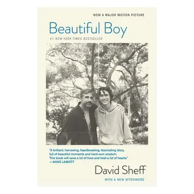 Beautiful Boy (tie-In) - Sheff, David