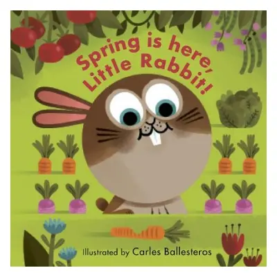 Spring Is Here, Little Rabbit! - Morgan, Matthew