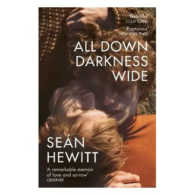 All Down Darkness Wide - Hewitt, Sean