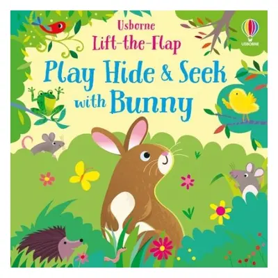 Play Hide and Seek with Bunny - Taplin, Sam