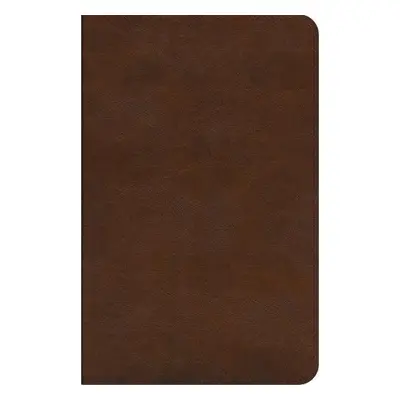 ESV Concise Study Bible™