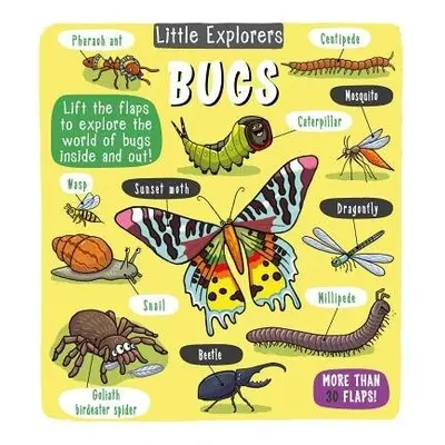 Little Explorers: Bugs - Little Bee Books