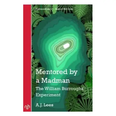 Mentored by a Madman - Lees, A. J.