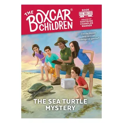 Sea Turtle Mystery