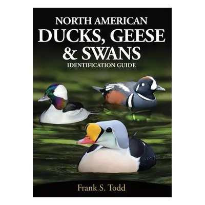 North American Ducks, Geese and Swans - Todd, Frank