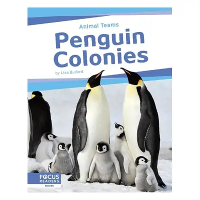 Penguin Colonies - Bullard, Lisa