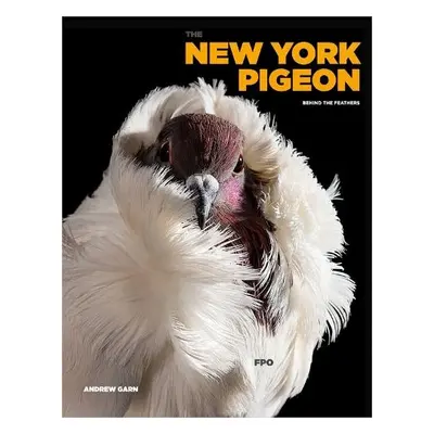 New York Pigeon - Garn, Andrew