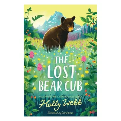 Lost Bear Cub - Webb, Holly