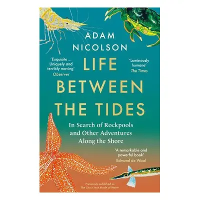 Life Between the Tides - Nicolson, Adam