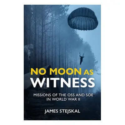 No Moon as Witness - Stejskal, James