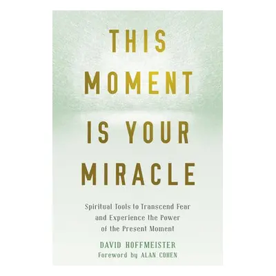 This Moment Is Your Miracle - Hoffmeister, David