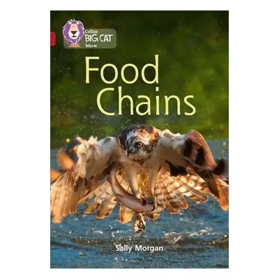 Food Chains - Morgan, Sally