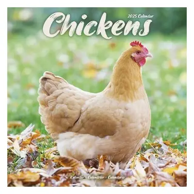 Chickens Calendar 2025 Square Farm Animals a Birds Wall Calendar - 16 Month