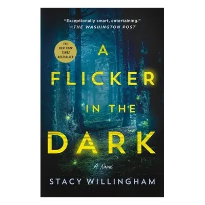 Flicker in the Dark - Willingham, Stacy