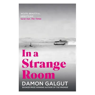 In a Strange Room - Galgut, Damon