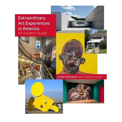 Extraordinary Art Experiences in America - Fischbach, Linda